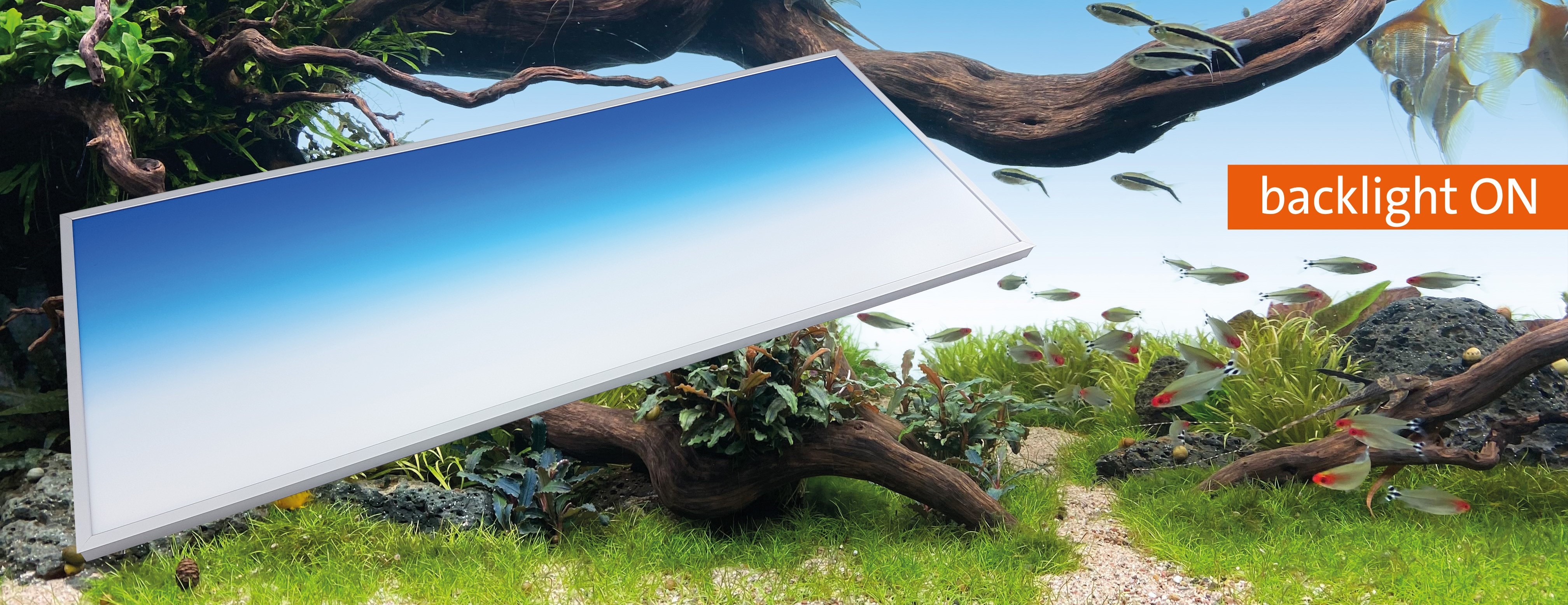 daytime® Backlight EH-VI-150